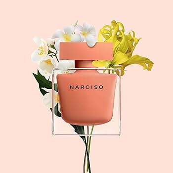 香水(女性用) Narciso Rodriguez AMBREE 90ml Amazon.com: Narciso Rodriguez Narciso Poudree by Narciso